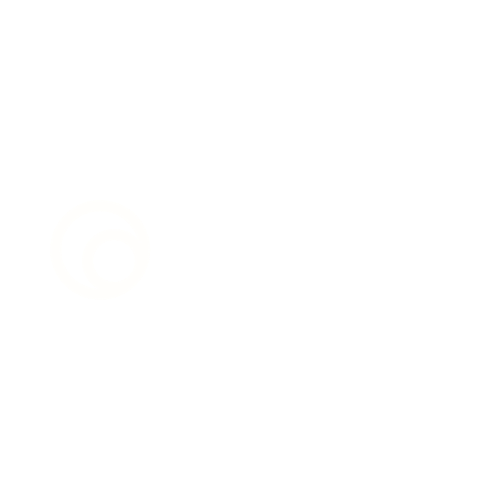 Brivio Security